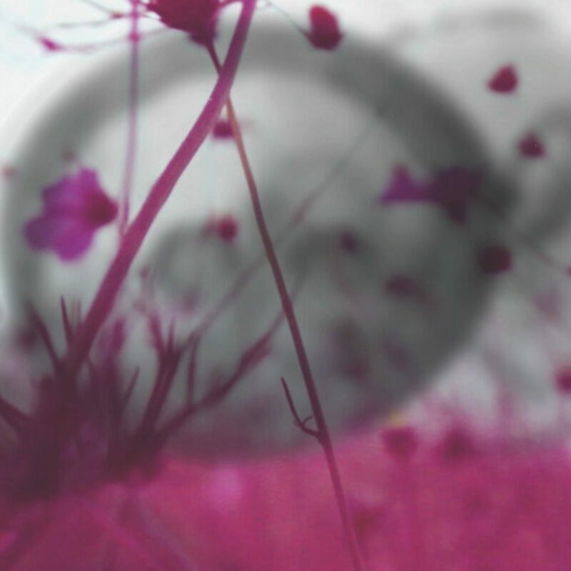 Ficciones naturales y naturalezas inventadas