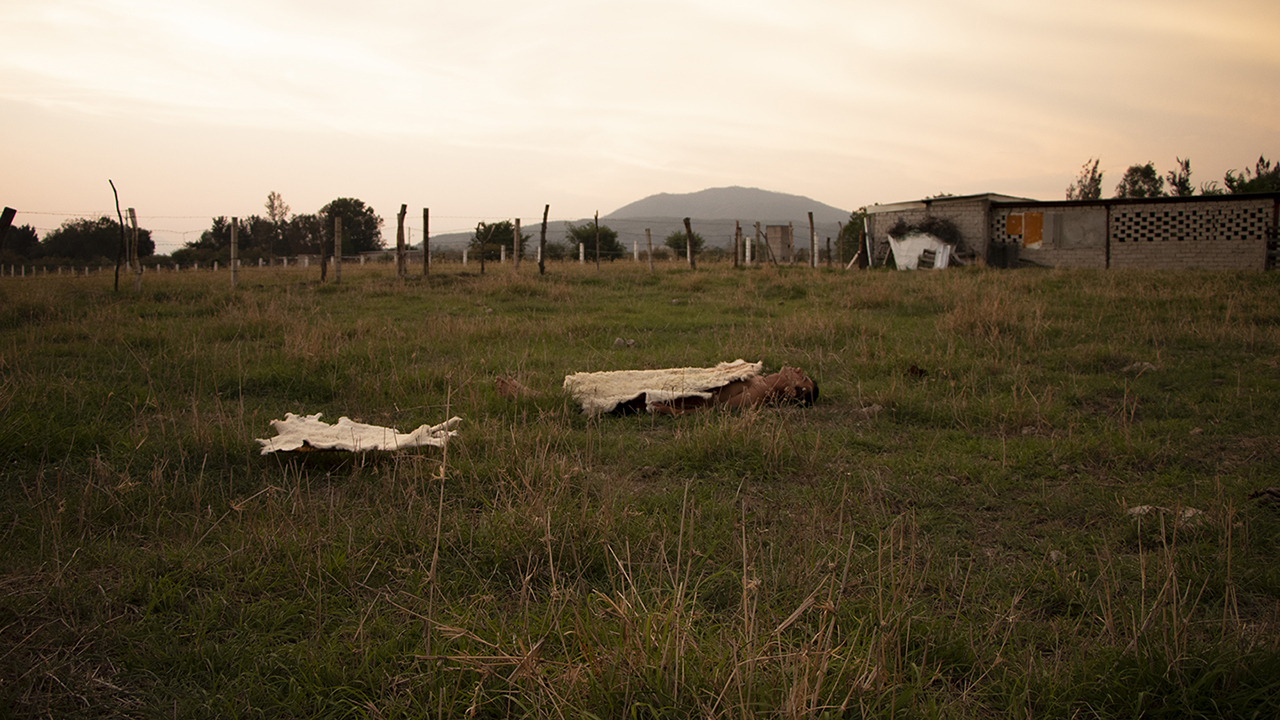 Pieles de tierra, 2018. Fotografía digital.